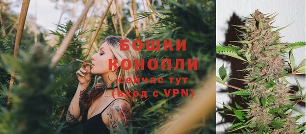 гидропоника Заводоуковск